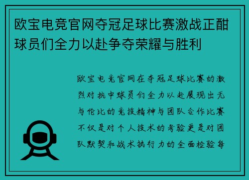 欧宝电竞官网夺冠足球比赛激战正酣球员们全力以赴争夺荣耀与胜利